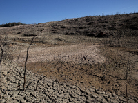 Hundreds of people are visiting the old town of Sant Roma de Sau, where normally the water of the Sau reservoir would almost completely cove...