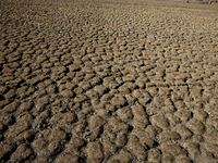 Hundreds of people are visiting the old town of Sant Roma de Sau, where normally the water of the Sau reservoir would almost completely cove...