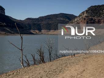 Hundreds of people are visiting the old town of Sant Roma de Sau, where normally the water of the Sau reservoir would almost completely cove...