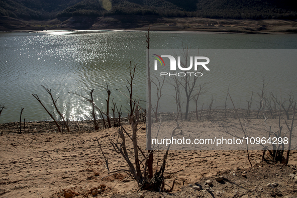 Hundreds of people are visiting the old town of Sant Roma de Sau, where normally the water of the Sau reservoir would almost completely cove...