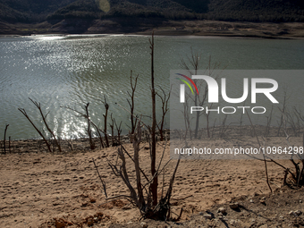 Hundreds of people are visiting the old town of Sant Roma de Sau, where normally the water of the Sau reservoir would almost completely cove...