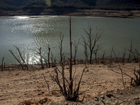 Hundreds of people are visiting the old town of Sant Roma de Sau, where normally the water of the Sau reservoir would almost completely cove...