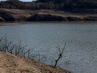 Hundreds of people are visiting the old town of Sant Roma de Sau, where normally the water of the Sau reservoir would almost completely cove...