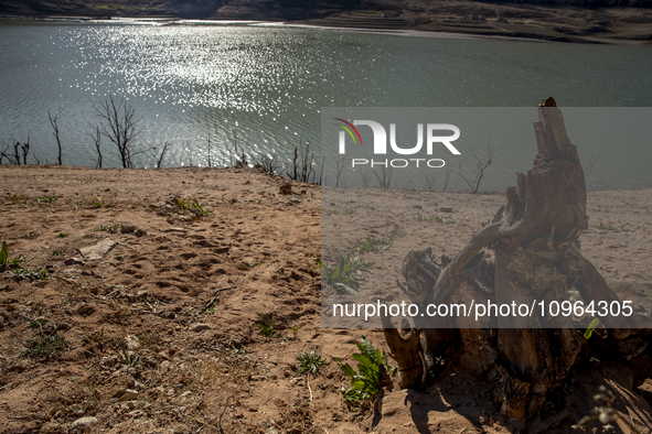 Hundreds of people are visiting the old town of Sant Roma de Sau, where normally the water of the Sau reservoir would almost completely cove...