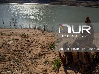 Hundreds of people are visiting the old town of Sant Roma de Sau, where normally the water of the Sau reservoir would almost completely cove...