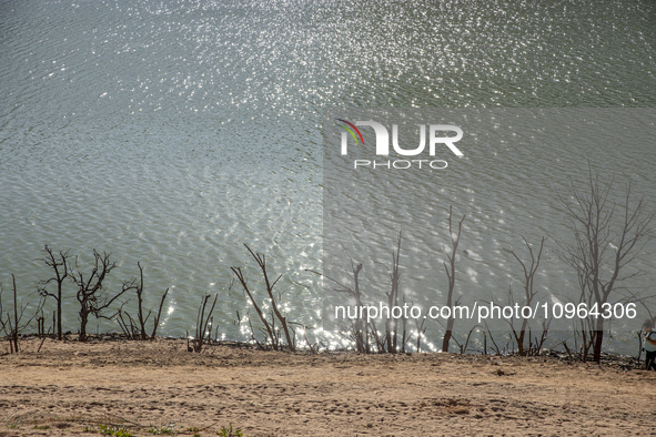 Hundreds of people are visiting the old town of Sant Roma de Sau, where normally the water of the Sau reservoir would almost completely cove...