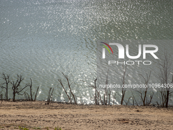 Hundreds of people are visiting the old town of Sant Roma de Sau, where normally the water of the Sau reservoir would almost completely cove...