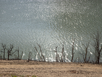 Hundreds of people are visiting the old town of Sant Roma de Sau, where normally the water of the Sau reservoir would almost completely cove...