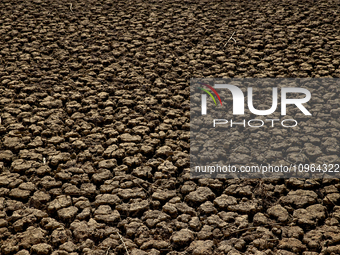 Hundreds of people are visiting the old town of Sant Roma de Sau, where normally the water of the Sau reservoir would almost completely cove...