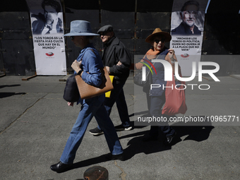 Members of various animal rights, welfare, and anti-speciesist groups are demonstrating outside the Plaza Mexico in Mexico City to reject th...