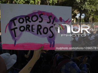 Members of various animal welfare and anti-speciesist groups are demonstrating outside the Plaza Mexico in Mexico City, rejecting the return...