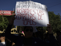 Members of various animal welfare and anti-speciesist groups are demonstrating outside the Plaza Mexico in Mexico City, rejecting the return...