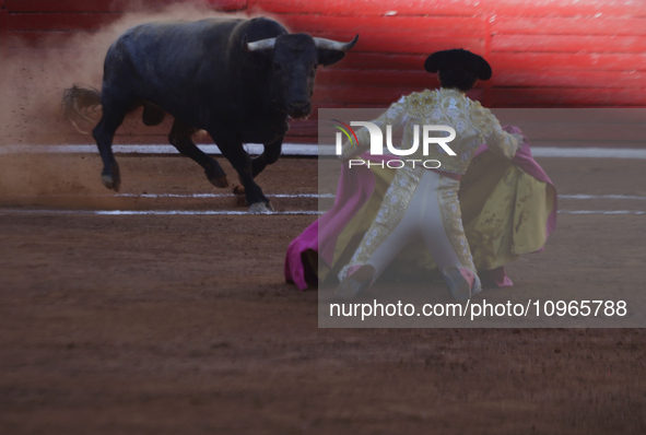 Isaac Fonseca, a bullfighter, is participating in a bullfight at the Plaza Mexico in Mexico City, as members of various animal rights, welfa...