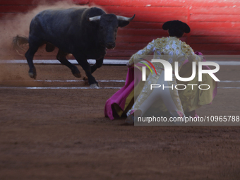 Isaac Fonseca, a bullfighter, is participating in a bullfight at the Plaza Mexico in Mexico City, as members of various animal rights, welfa...