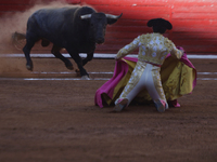 Isaac Fonseca, a bullfighter, is participating in a bullfight at the Plaza Mexico in Mexico City, as members of various animal rights, welfa...