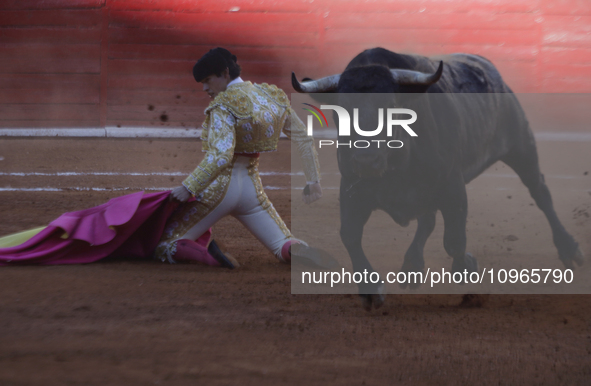 Isaac Fonseca, a bullfighter, is participating in a bullfight at the Plaza Mexico in Mexico City, as members of various animal rights, welfa...