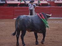 A banderillero is performing inside the Plaza Mexico in Mexico City, as members of various animal rights, welfare, and anti-speciesist group...