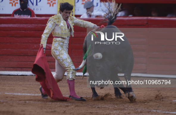 Isaac Fonseca, a bullfighter, is participating in a bullfight inside the Plaza Mexico in Mexico City, as members of various animal rights, w...