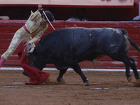 Isaac Fonseca, a bullfighter, is participating in a bullfight at the Plaza Mexico in Mexico City, as members of various animal rights, welfa...