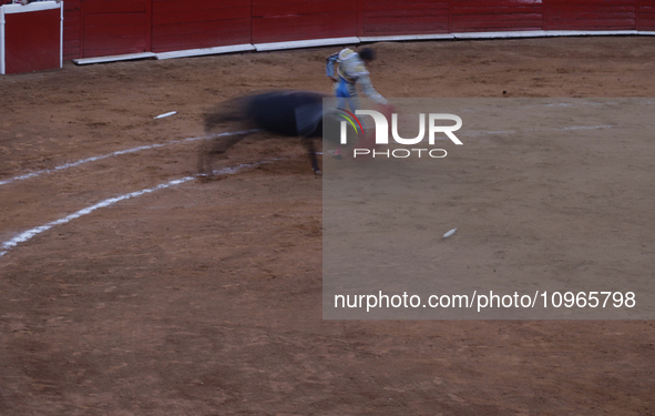 Sebastian Castella, a French bullfighter, is preparing for a bullfight inside the Plaza Mexico in Mexico City, as members of various animal...