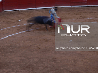 Sebastian Castella, a French bullfighter, is preparing for a bullfight inside the Plaza Mexico in Mexico City, as members of various animal...