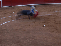 Sebastian Castella, a French bullfighter, is preparing for a bullfight inside the Plaza Mexico in Mexico City, as members of various animal...