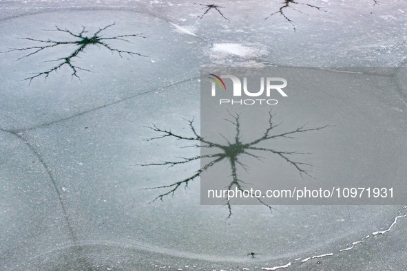 Ice trees and flowers are forming a patterned landscape on a frozen lake in the West Coast New Area of Qingdao, Shandong Province, China, on...