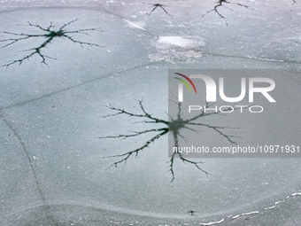 Ice trees and flowers are forming a patterned landscape on a frozen lake in the West Coast New Area of Qingdao, Shandong Province, China, on...