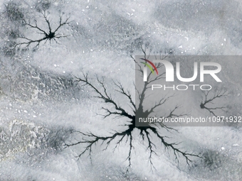 Ice trees and flowers are forming a patterned landscape on a frozen lake in the West Coast New Area of Qingdao, Shandong Province, China, on...