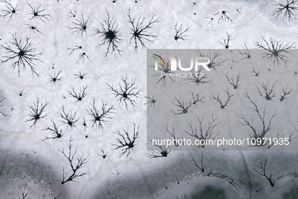 Ice trees and flowers are forming a patterned landscape on a frozen lake in the West Coast New Area of Qingdao, Shandong Province, China, on...