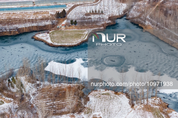 Ice trees and flowers are forming a patterned landscape on a frozen lake in the West Coast New Area of Qingdao, Shandong Province, China, on...