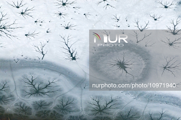 Ice trees and flowers are forming a patterned landscape on a frozen lake in the West Coast New Area of Qingdao, Shandong Province, China, on...