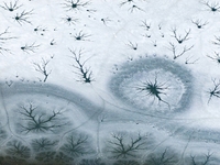 Ice trees and flowers are forming a patterned landscape on a frozen lake in the West Coast New Area of Qingdao, Shandong Province, China, on...