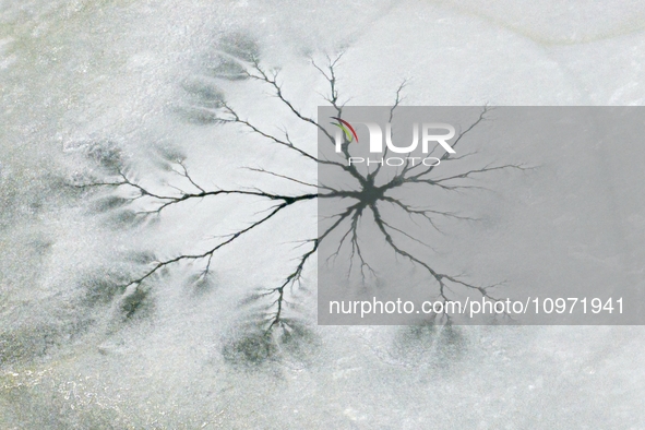 Ice trees and flowers are forming a patterned landscape on a frozen lake in the West Coast New Area of Qingdao, Shandong Province, China, on...