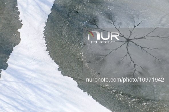 Ice trees and flowers are forming a patterned landscape on a frozen lake in the West Coast New Area of Qingdao, Shandong Province, China, on...