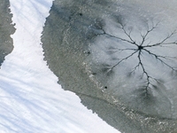 Ice trees and flowers are forming a patterned landscape on a frozen lake in the West Coast New Area of Qingdao, Shandong Province, China, on...