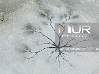 Ice trees and flowers are forming a patterned landscape on a frozen lake in the West Coast New Area of Qingdao, Shandong Province, China, on...