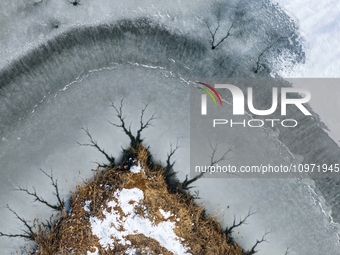 Ice trees and flowers are forming a patterned landscape on a frozen lake in the West Coast New Area of Qingdao, Shandong Province, China, on...