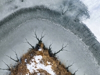 Ice trees and flowers are forming a patterned landscape on a frozen lake in the West Coast New Area of Qingdao, Shandong Province, China, on...