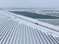 A new energy photovoltaic base is seen covered in snow in Suqian, Jiangsu Province, China, on February 5, 2024. (