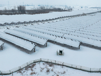 A new energy photovoltaic base is seen covered in snow in Suqian, Jiangsu Province, China, on February 5, 2024. (