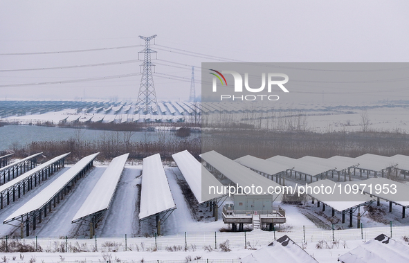 A new energy photovoltaic base is seen covered in snow in Suqian, Jiangsu Province, China, on February 5, 2024. 