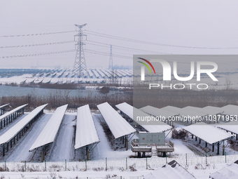 A new energy photovoltaic base is seen covered in snow in Suqian, Jiangsu Province, China, on February 5, 2024. (