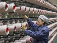 A textile worker is working at a production line of a chemical fiber company in Taizhou, China, on February 10, 2024. (