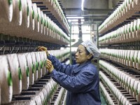 A textile worker is working at a production line of a chemical fiber company in Taizhou, China, on February 10, 2024. (