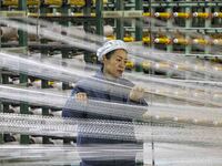 A textile worker is working at a production line of a chemical fiber company in Taizhou, China, on February 10, 2024. (