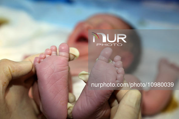 A medical worker is caring for a newborn ''dragon baby'' in the maternity department of Zaozhuang Maternal and Child Health Hospital in Shan...