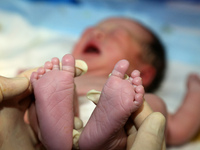 A medical worker is caring for a newborn ''dragon baby'' in the maternity department of Zaozhuang Maternal and Child Health Hospital in Shan...