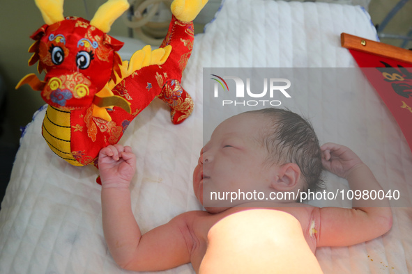 A newborn ''dragon baby'' is posing for a photo with a stuffed animal related to the dragon element at the maternity department of Zaozhuang...