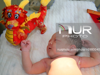 A newborn ''dragon baby'' is posing for a photo with a stuffed animal related to the dragon element at the maternity department of Zaozhuang...